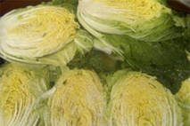 제주시, 전통시장 3개소 실태조사 실시