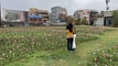 제주시, 일도1동 산짓물 공원 튤립 개화