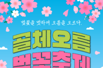 조천읍, “벚꽃을 벗하여 오름을 오르다”