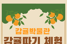 감귤박물관, 2025 감귤따기체험 행사 본격 운영