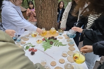 붉은오름자연휴양림 ‘마음건강 돌봄숲 프로그램’ 참가자 모집