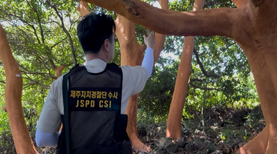 대규모 후박나무 박피범 구속 송치