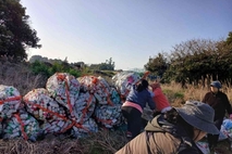 서귀포 영농 발생 폐농약용기류 전량 수거·처리