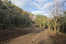 서귀포 산림경영 기반 강화, 상효 임도 연장 완료