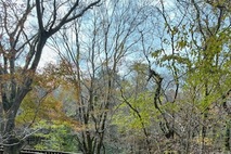 서귀포자연휴양림 무장애나눔길 조성