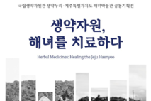 전복‧해삼‧쑥…제주해녀의 생약자원 조명