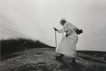 제주도립미술관 -아오모리 국제교류전《바람과 숲의 대화》