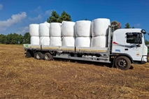 서귀포시, 도내 조사료 물류비 지원 경영부담 완화