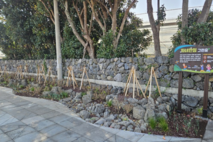 도순초 어린이 보호구역 내 도시숲 조성