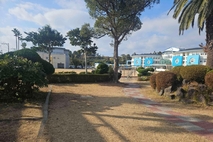 서귀포시, 서귀포초·법환초에 학교숲 조성