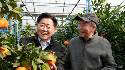 제주도, 미국산 만다린 무관세 대응