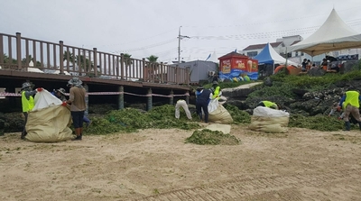 제주시,‘바다환경지킴이’178명 채용