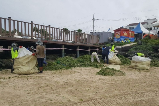 제주시,‘바다환경지킴이’178명 채용