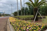 남원읍, 사계절 꽃 경관 조성
