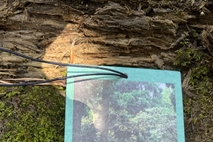 서귀포치유의숲, 오감으로 즐기는 특별한 체험