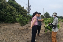 “신규농업인 영농 첫걸음, 현장실습으로 시작”