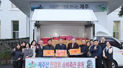 제주시, 만감류 소비촉진 활동 전개