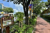 제주시, 노형초등학교 주변‘자녀안심그린숲’조성