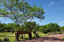 2026년 붉은오름자연휴양림 시설물 보완