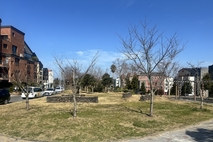 제주시, 아라동 제110호 어린이공원 정비 추진