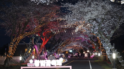 “봄의 설렘, 애월에서 만나요”