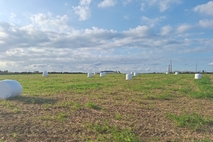 서귀포 선제적 축산농가 사료비 절감사업 추진