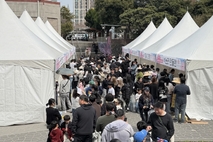 제주학생문화원, 2026 청소년 벚꽃축제 성황