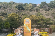 천지연 폭포 걷고 미션 수행하면 선물!