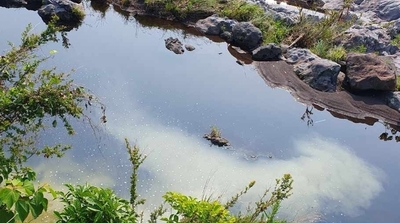 서귀포시, 농번기 대비 수질오염 예방