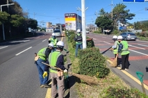 서귀포시, 2026년 상반기 작업환경측정
