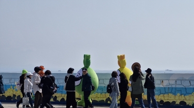 초록빛 바다, 제15회 가파도 청보리 축제