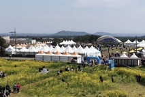 서귀포시, 제43회 서귀포유채꽃축제 성료