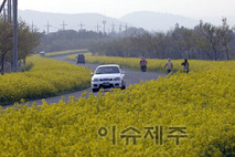 제주시, 양봉농가에‘화분·화분떡’공급
