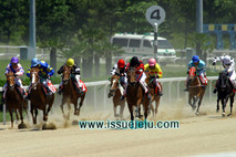 서귀포시, 관내 승마장 안전 기준 점검