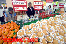 제주시,‘농특산물 직거래 홍보관’사전 수요조사