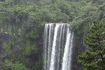 서귀포시 천지연폭포 야간관람, 42년 만의 탈바꿈