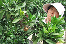 제주시, 여성농업인 특수건강검진 지원 80세까지