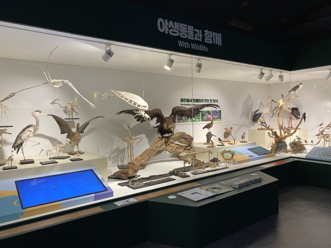 제주 겨울 여행 명소 추천, 실내 명소 BEST 총정리